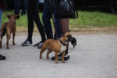 2019-Porsche-Dinslaken-53