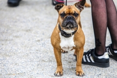 2019-Porsche-Dinslaken-55