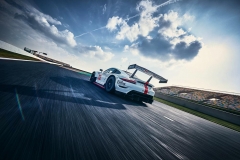 The new Porsche 911 RSR ( 2019)